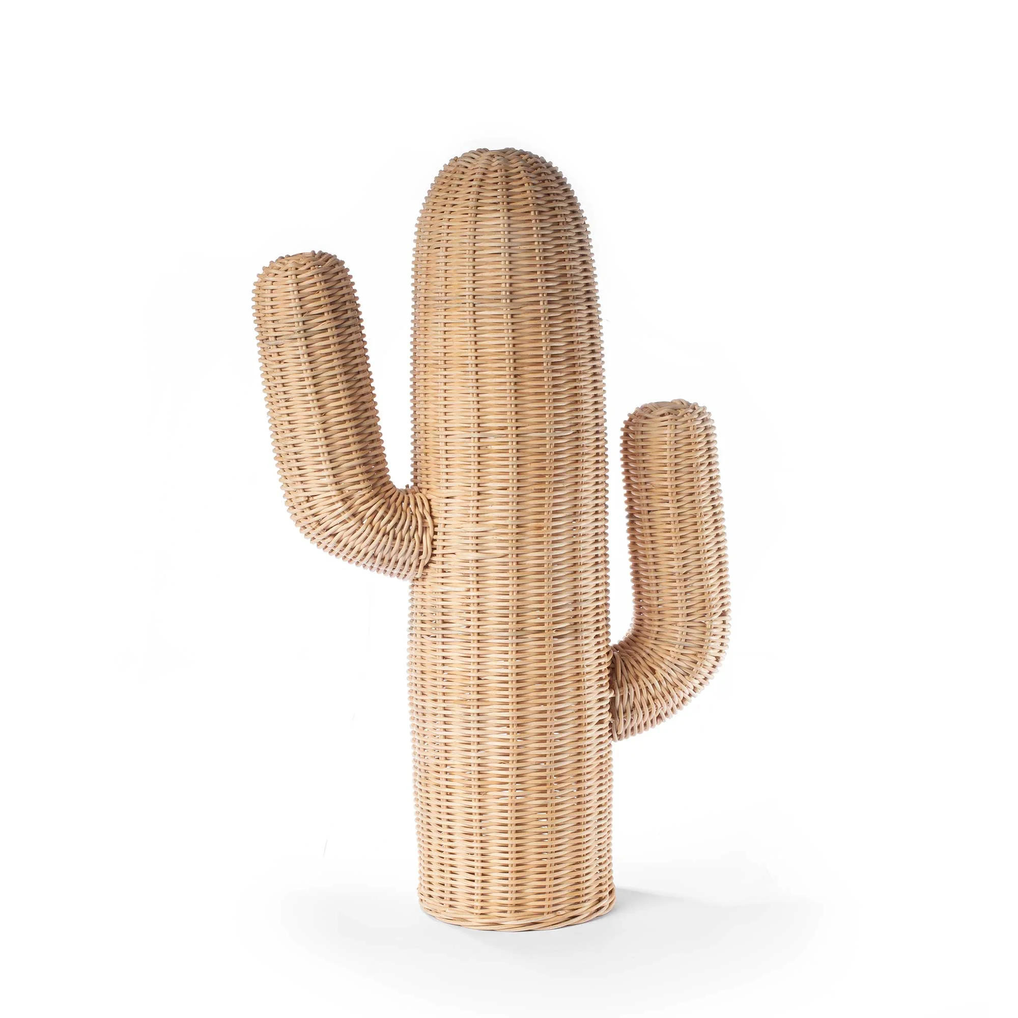 CACTUS WALL DECOR