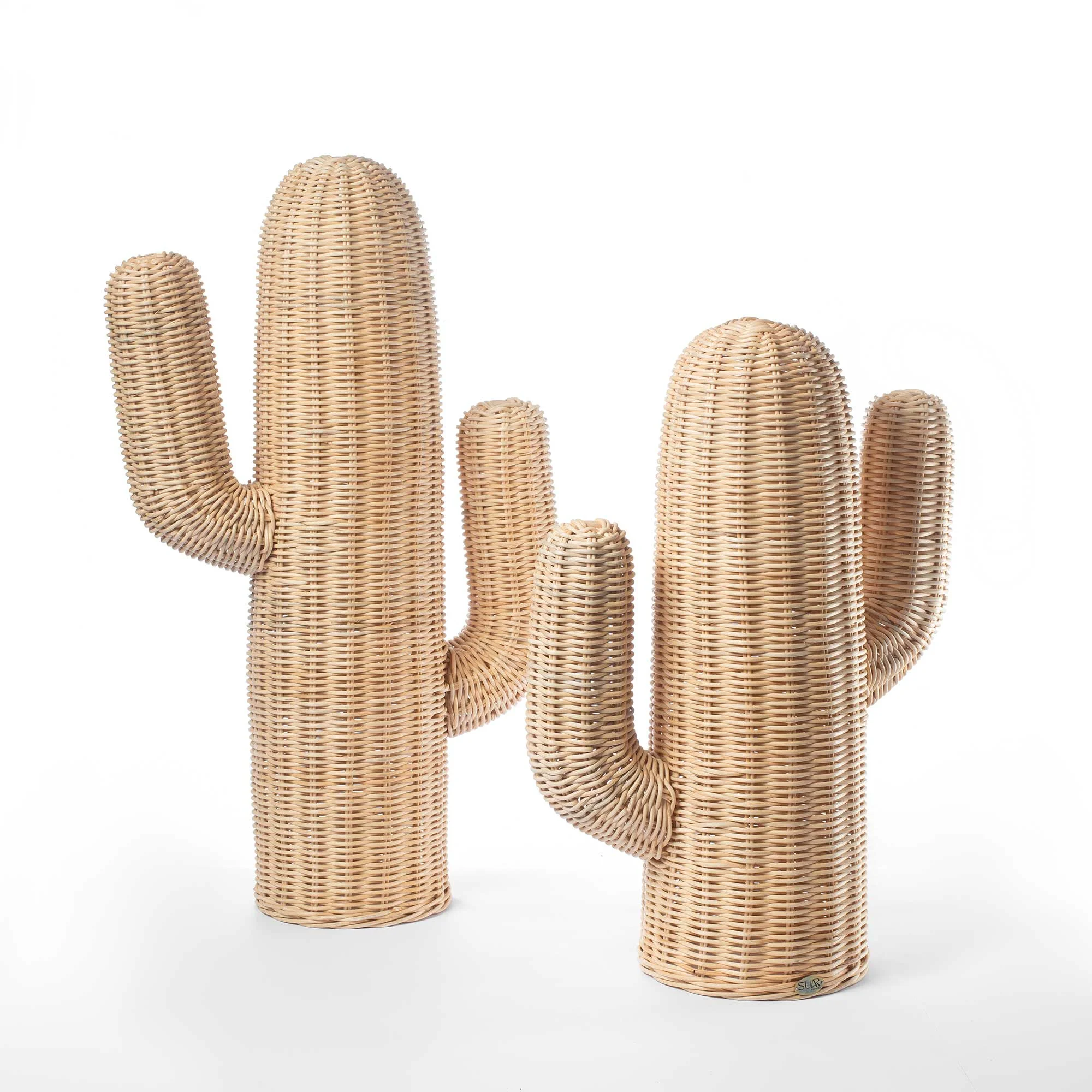 CACTUS DECOR Thumbnail