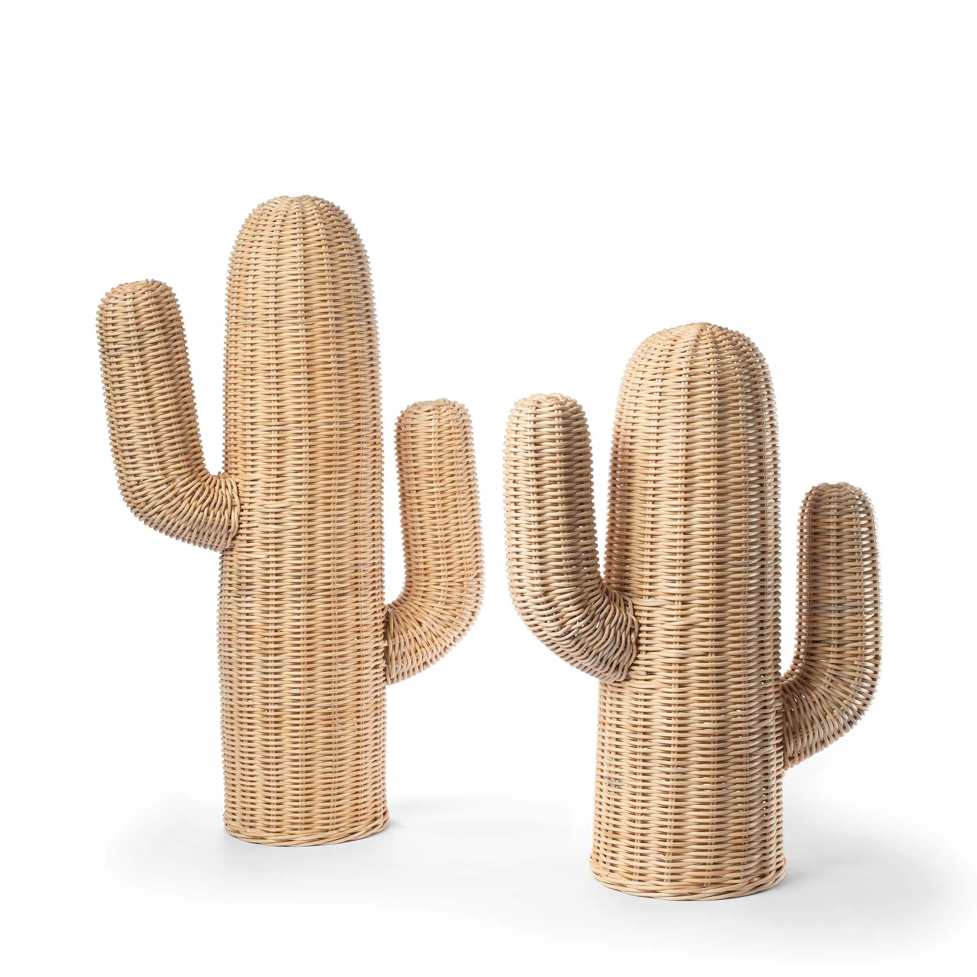 CACTUS DECOR Thumbnail