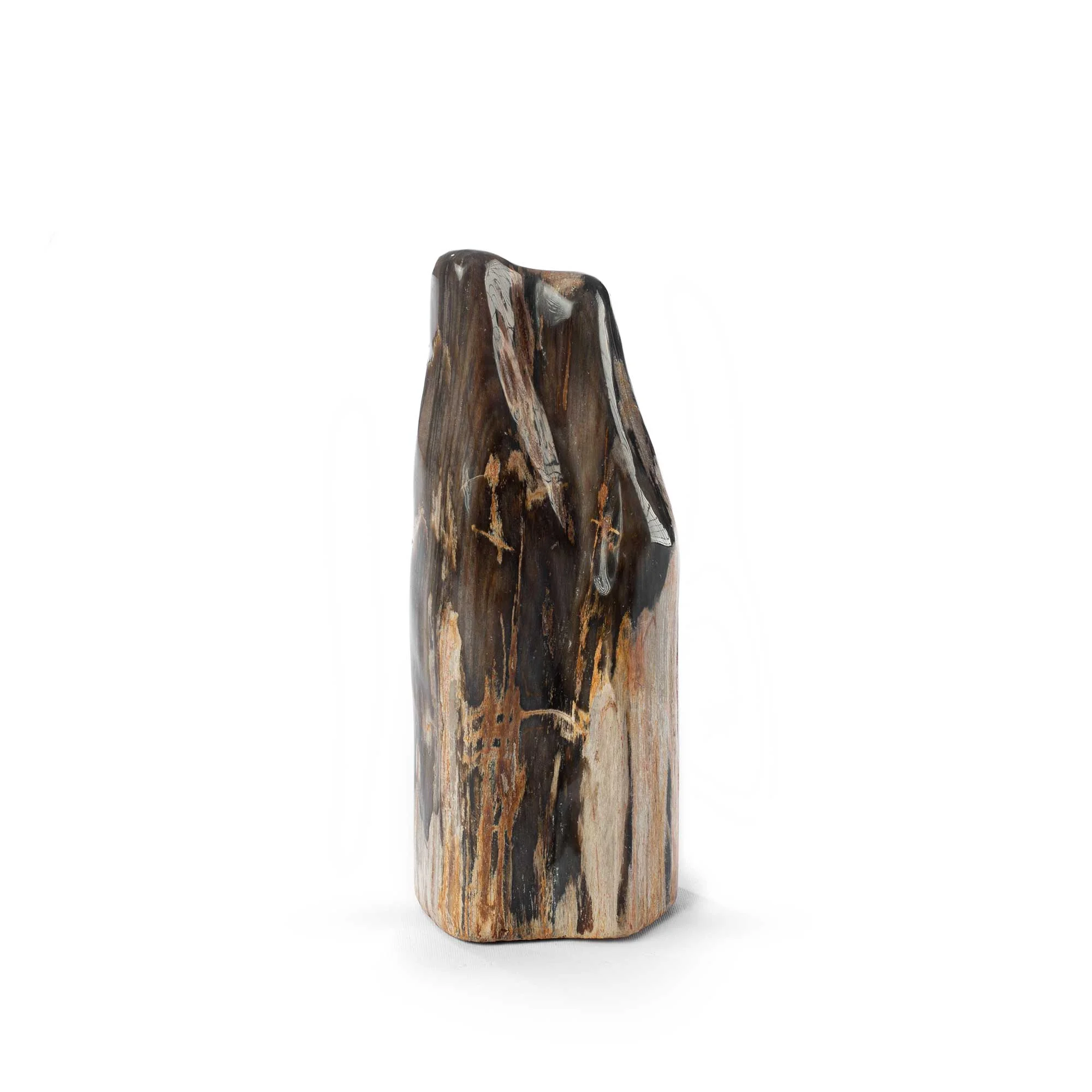 POLISHED PETRIFIED WOOD Thumbnail