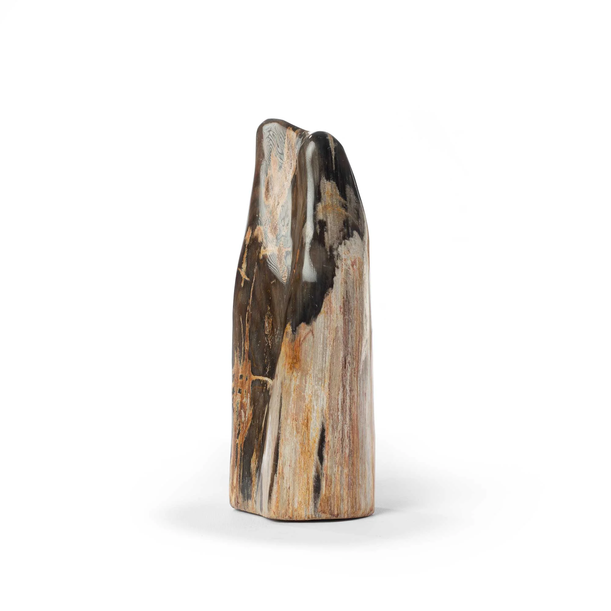 POLISHED PETRIFIED WOOD Thumbnail