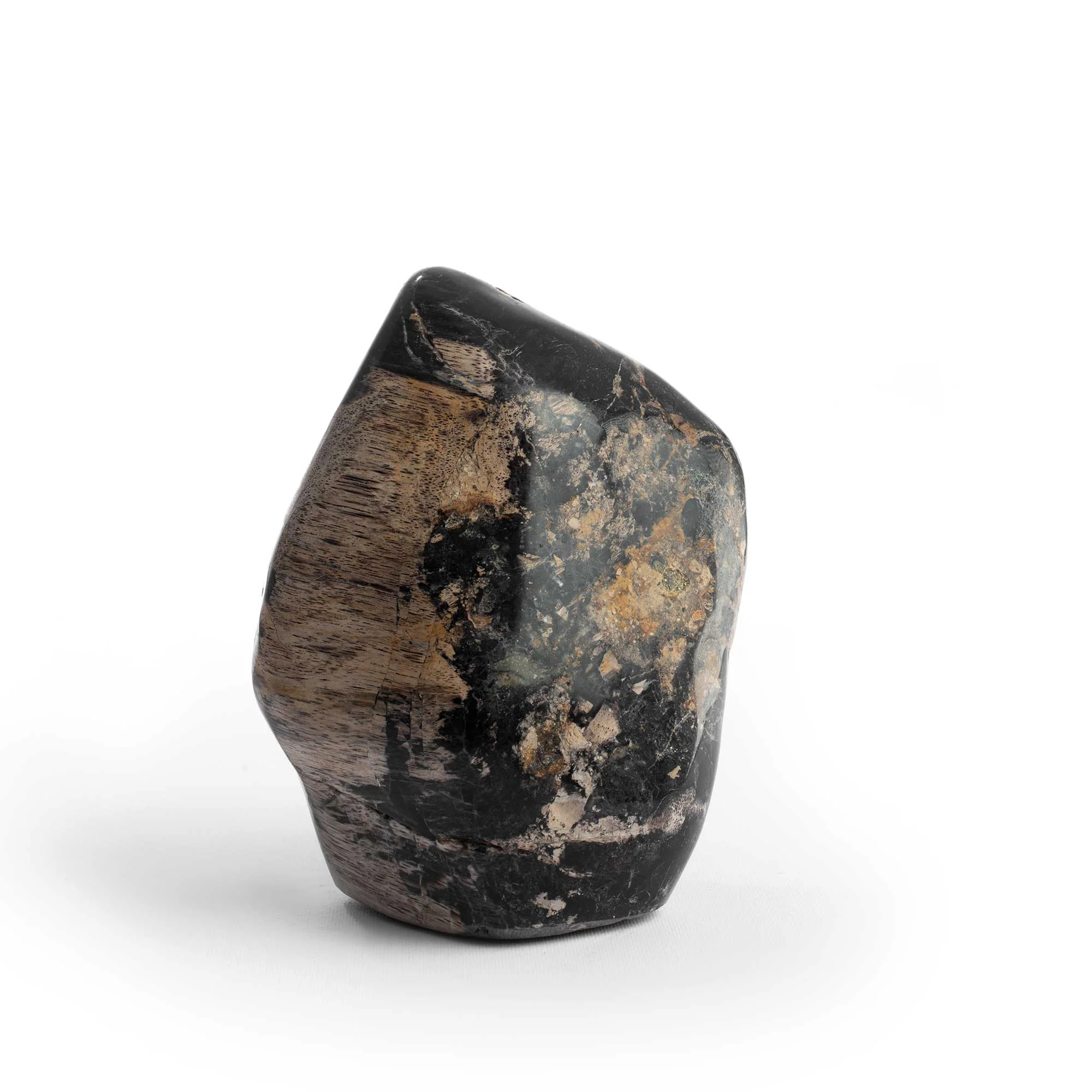 POLISHED PETRIFIED WOOD Thumbnail