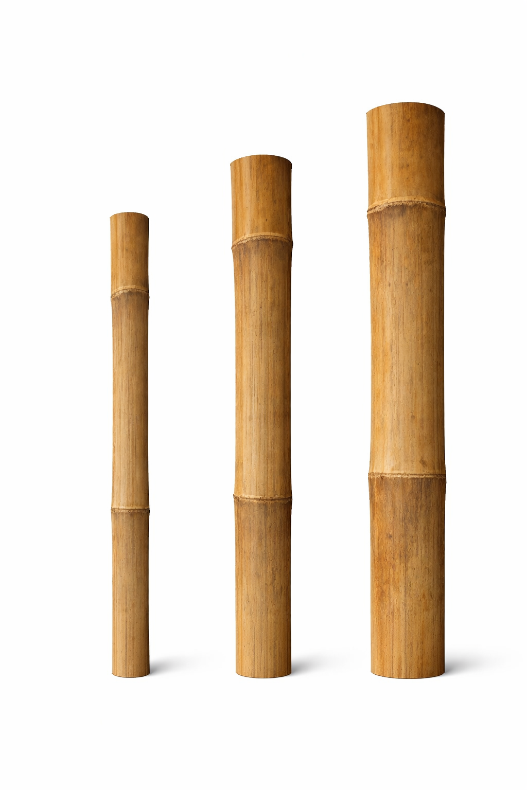 bamboo stick Thumbnail