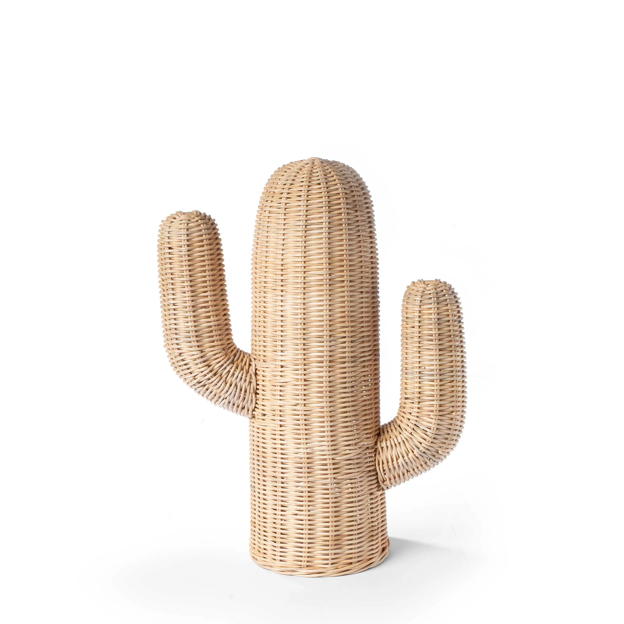 CACTUS WALL DECOR