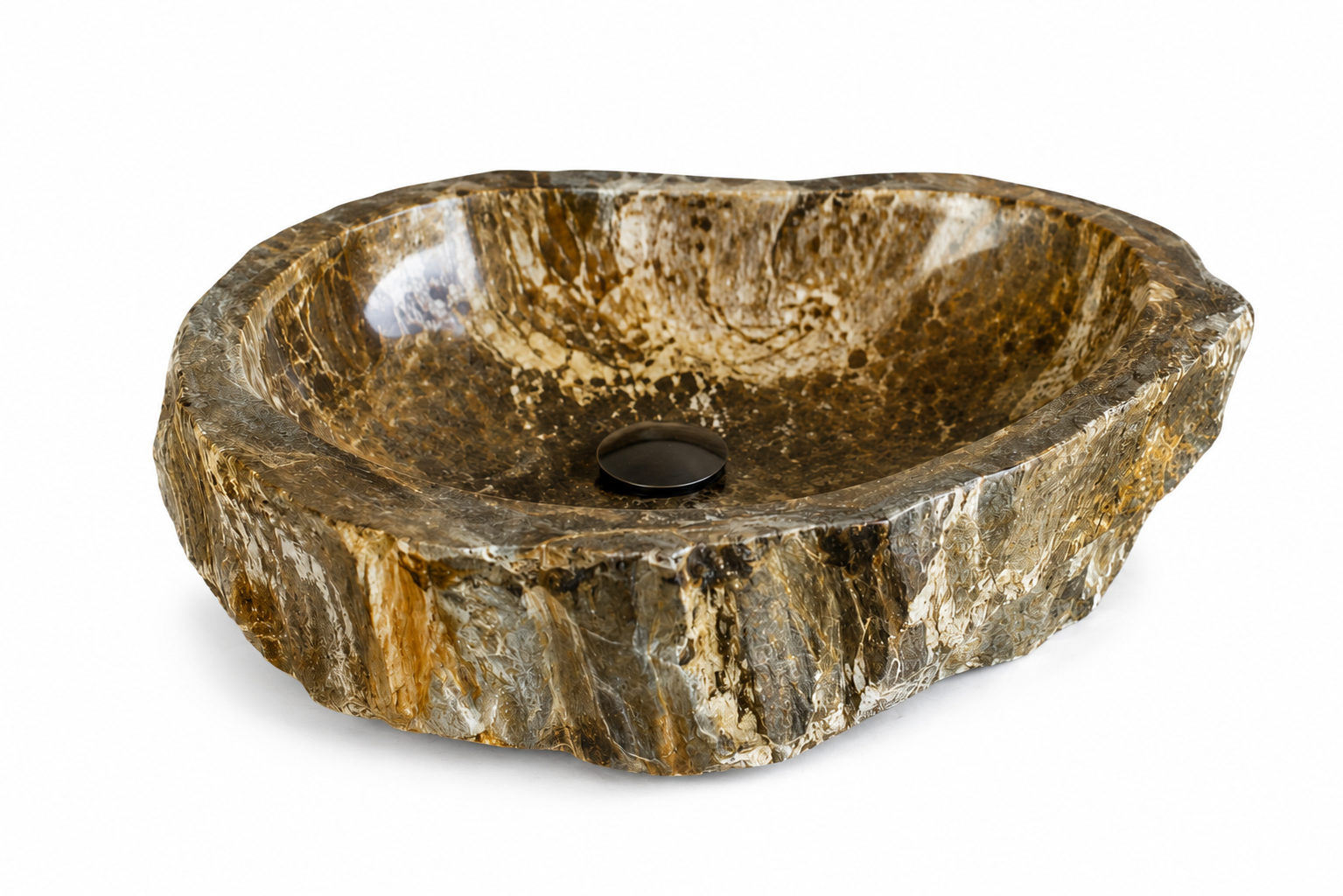 PETRIFIED WOOD LANDSCP